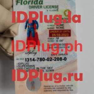 FLORIDA NEW U21