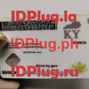 KENTUCKY NEW